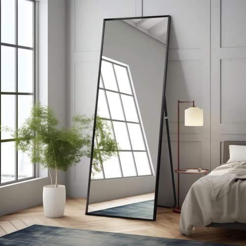 NeuType Full Length Mirror 64"x21" Bedroom Wall Mirror